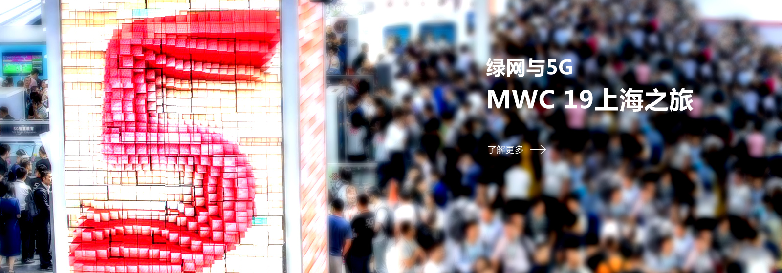 首昌网络